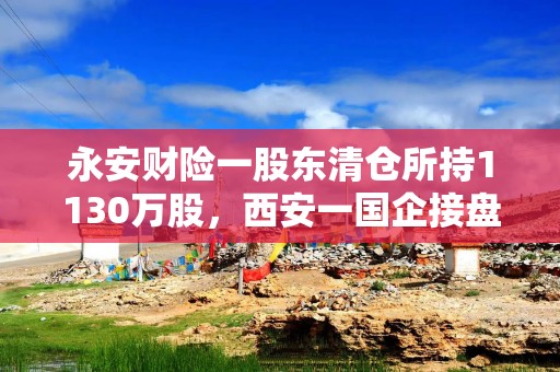 永安财险一股东清仓所持1130万股，西安一国企接盘