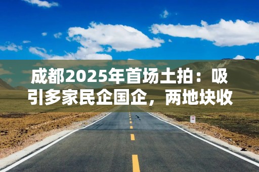成都2025年首场土拍：吸引多家民企国企，两地块收金19.61亿元，最高溢价超51%