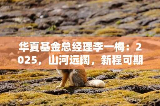 华夏基金总经理李一梅：2025，山河远阔，新程可期