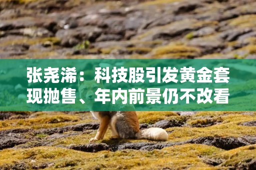 张尧浠：科技股引发黄金套现抛售、年内前景仍不改看涨
