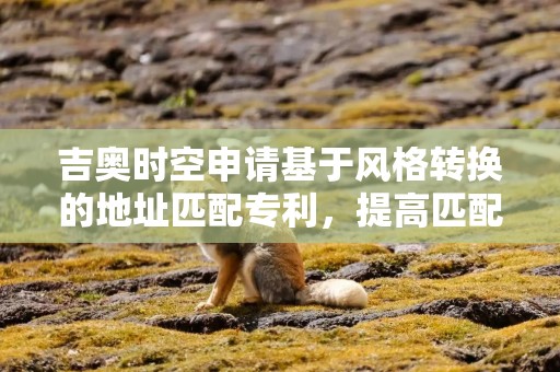 吉奥时空申请基于风格转换的地址匹配专利，提高匹配准确率
