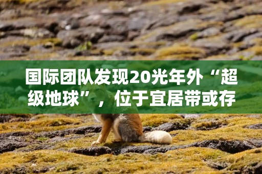 国际团队发现20光年外“超级地球”，位于宜居带或存液态水