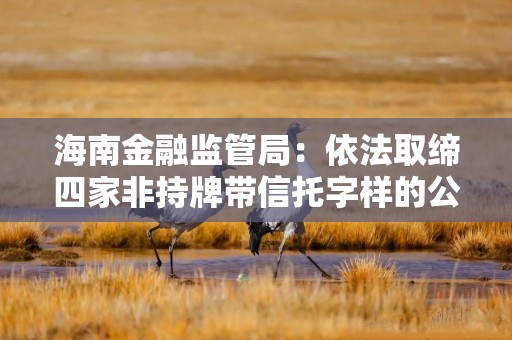 海南金融监管局：依法取缔四家非持牌带信托字样的公司