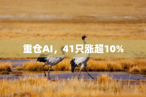 重仓AI，41只涨超10%