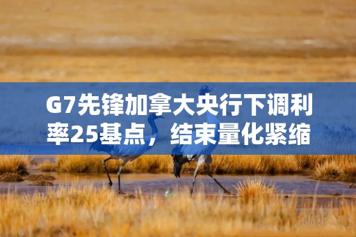 G7先锋加拿大央行下调利率25基点，结束量化紧缩