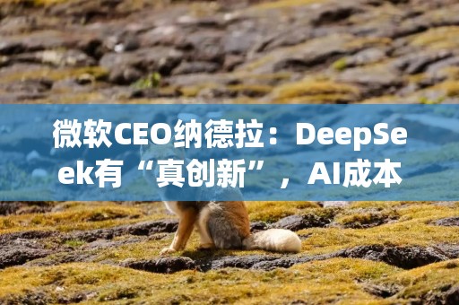 微软CEO纳德拉：DeepSeek有“真创新”，AI成本下降是趋势