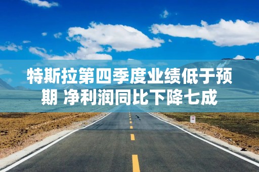 特斯拉第四季度业绩低于预期 净利润同比下降七成