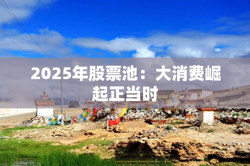 2025年股票池：大消费崛起正当时
