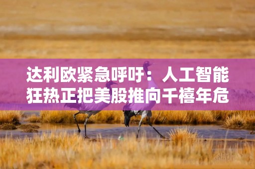 达利欧紧急呼吁：人工智能狂热正把美股推向千禧年危机