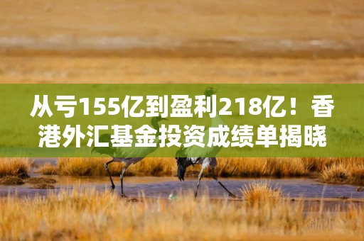 从亏155亿到盈利218亿！香港外汇基金投资成绩单揭晓
