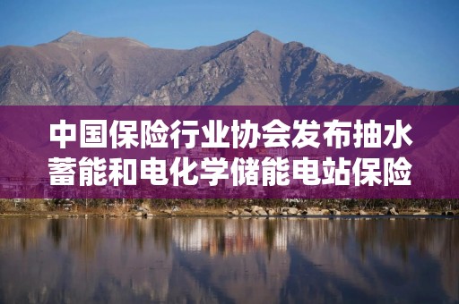 中国保险行业协会发布抽水蓄能和电化学储能电站保险风险评估工作指引