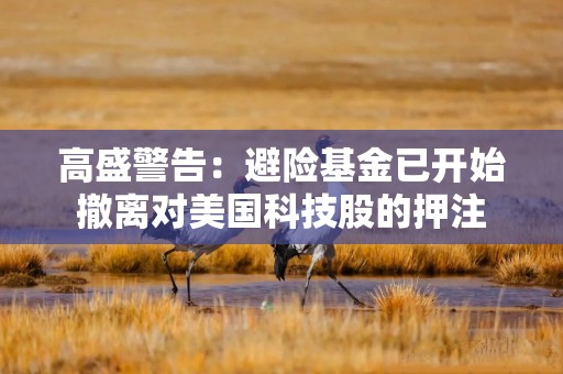 高盛警告：避险基金已开始撤离对美国科技股的押注