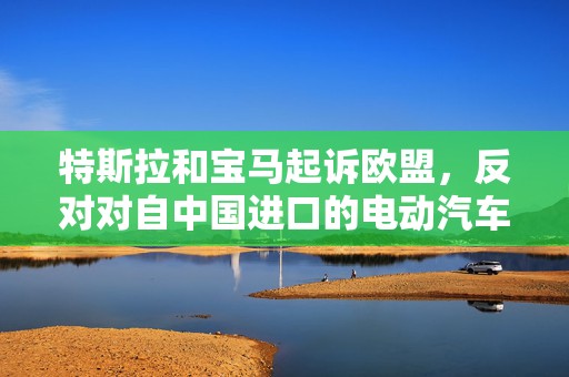 特斯拉和宝马起诉欧盟，反对对自中国进口的电动汽车加征关税