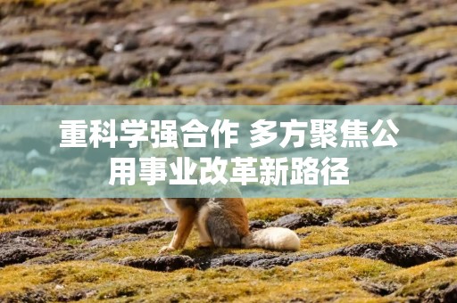 重科学强合作 多方聚焦公用事业改革新路径