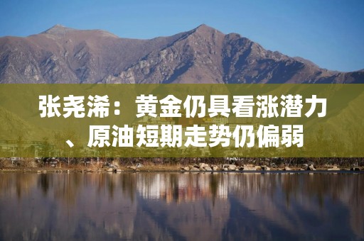 张尧浠：黄金仍具看涨潜力、原油短期走势仍偏弱