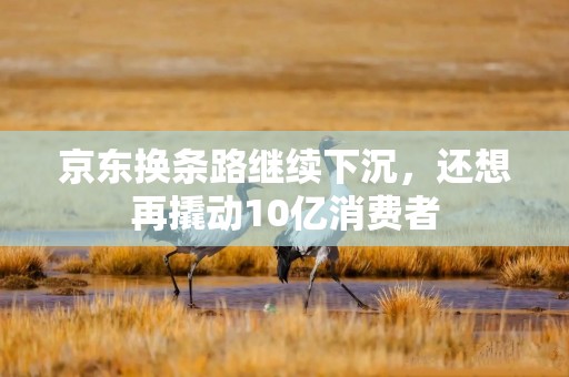 京东换条路继续下沉，还想再撬动10亿消费者