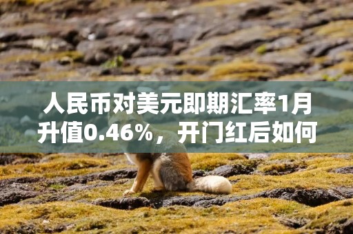 人民币对美元即期汇率1月升值0.46%，开门红后如何走