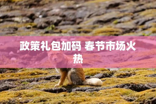 政策礼包加码 春节市场火热