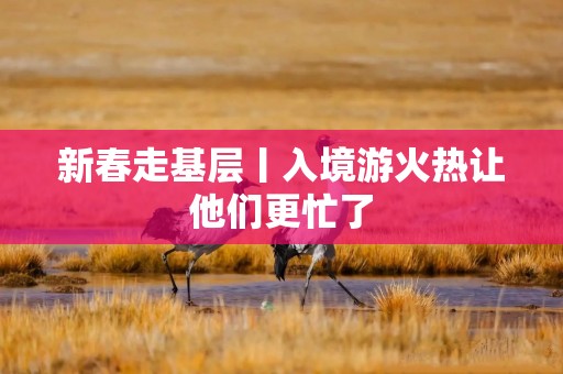 新春走基层丨入境游火热让他们更忙了
