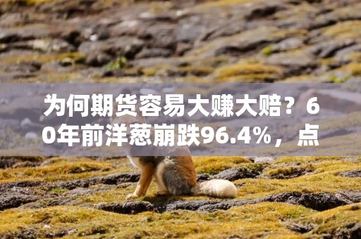 为何期货容易大赚大赔？60年前洋葱崩跌96.4%，点出期货交易的黑暗面