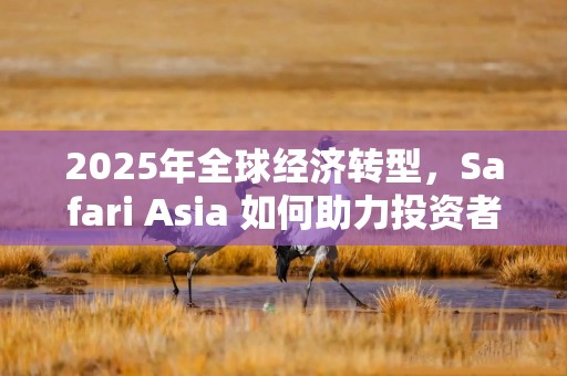 2025年全球经济转型，Safari Asia 如何助力投资者抢占先机？