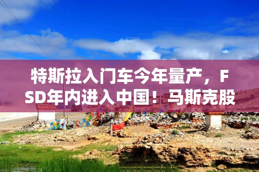 特斯拉入门车今年量产，FSD年内进入中国！马斯克股东会透露六大秘密
