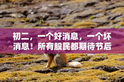 初二，一个好消息，一个坏消息！所有股民都期待节后了