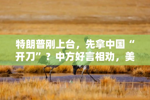 特朗普刚上台，先拿中国“开刀”？中方好言相劝，美国还是不听