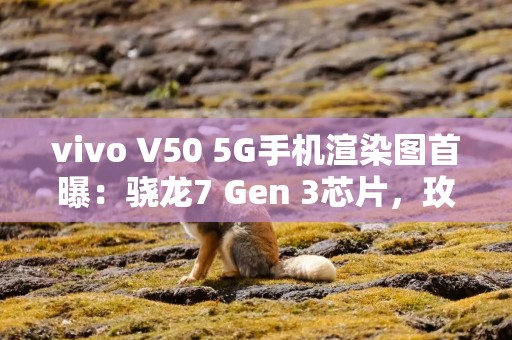vivo V50 5G手机渲染图首曝：骁龙7 Gen 3芯片，玫瑰红配色吸睛