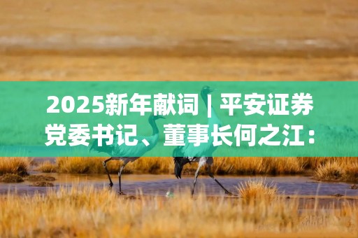 2025新年献词 | 平安证券党委书记、董事长何之江：打造有温度的证券平台服务商，以“三省”服务为社会创造价值