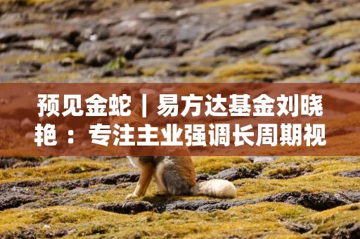 预见金蛇｜易方达基金刘晓艳 ：专注主业强调长周期视角 推动专业化服务普惠化