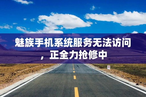 魅族手机系统服务无法访问，正全力抢修中