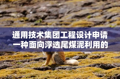 通用技术集团工程设计申请一种面向浮选尾煤泥利用的充填工艺及充填材料专利，实现消耗利用浮选尾煤泥和支撑上覆岩层控制地表变形