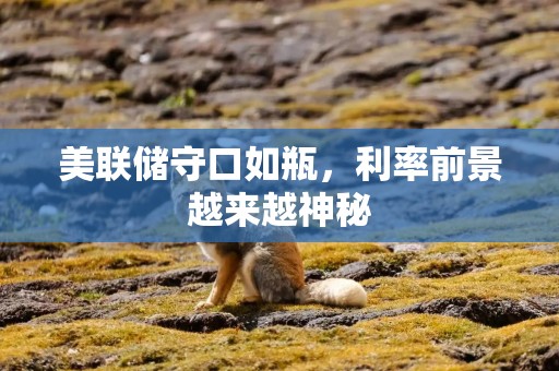 美联储守口如瓶，利率前景越来越神秘