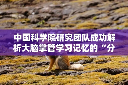 中国科学院研究团队成功解析大脑掌管学习记忆的“分子开关”