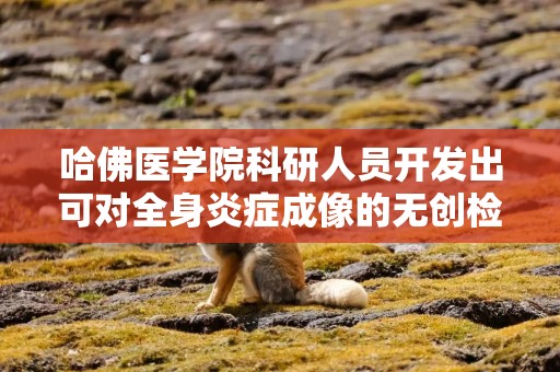哈佛医学院科研人员开发出可对全身炎症成像的无创检查方法