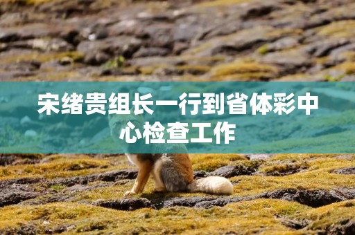 宋绪贵组长一行到省体彩中心检查工作