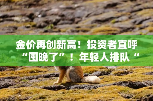 金价再创新高！投资者直呼“囤晚了”！年轻人排队“打金”，别踩这些“坑”→