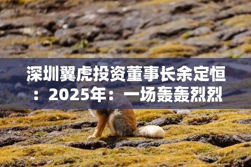 深圳翼虎投资董事长余定恒：2025年：一场轰轰烈烈的结构性牛市即将登场