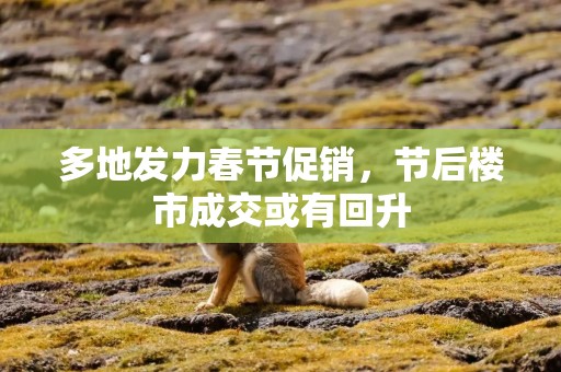多地发力春节促销，节后楼市成交或有回升