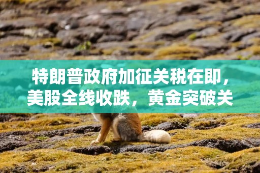 特朗普政府加征关税在即，美股全线收跌，黄金突破关键关口