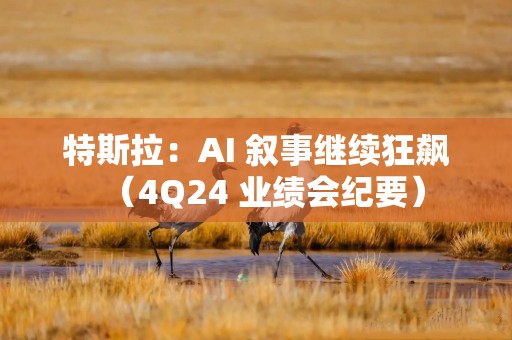 特斯拉：AI 叙事继续狂飙（4Q24 业绩会纪要）