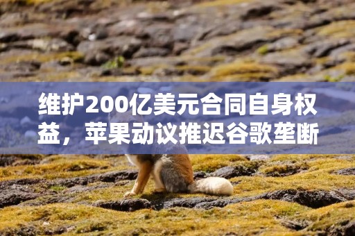 维护200亿美元合同自身权益，苹果动议推迟谷歌垄断案审判