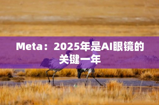 Meta：2025年是AI眼镜的关键一年