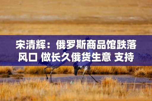 宋清辉：俄罗斯商品馆跌落风口 做长久俄货生意 支持需与监管并行