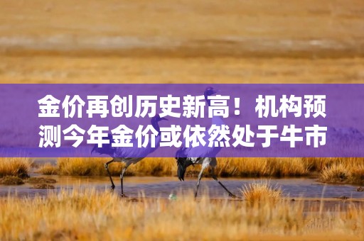 金价再创历史新高！机构预测今年金价或依然处于牛市通道