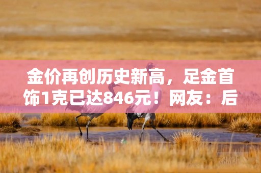 金价再创历史新高，足金首饰1克已达846元！网友：后悔买少了！还会涨吗？专家分析