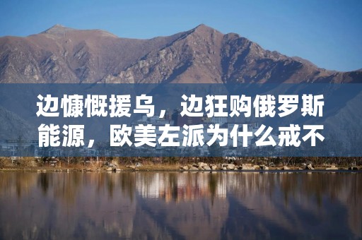 边慷慨援乌，边狂购俄罗斯能源，欧美左派为什么戒不了俄能源