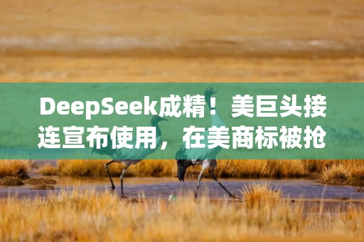 DeepSeek成精！美巨头接连宣布使用，在美商标被抢注