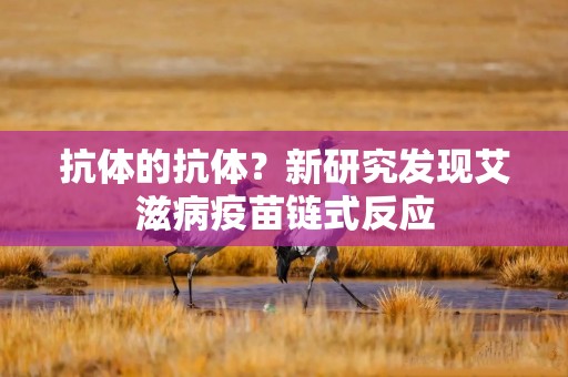 抗体的抗体？新研究发现艾滋病疫苗链式反应